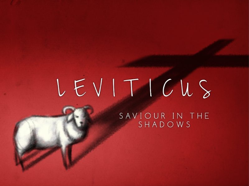 Leviticus:   Rhythms of Life
